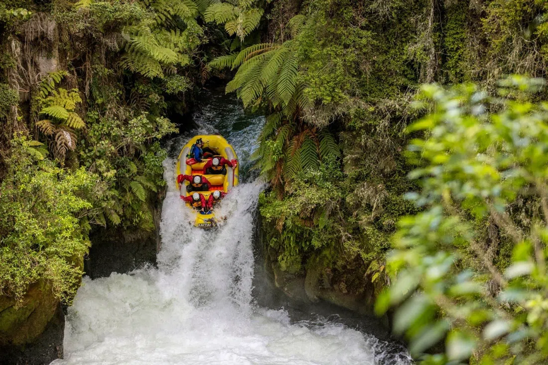 Kaitiaki Tours, Auckland