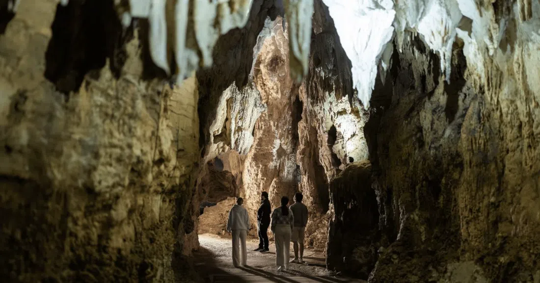 Aranui Cave, Auckland