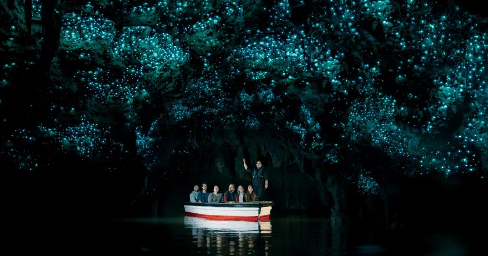 Waitomo's Glowworm Caves on a Day Out from Auckland
