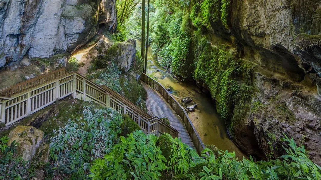 Mangapohue Natural Bridge, Auckland