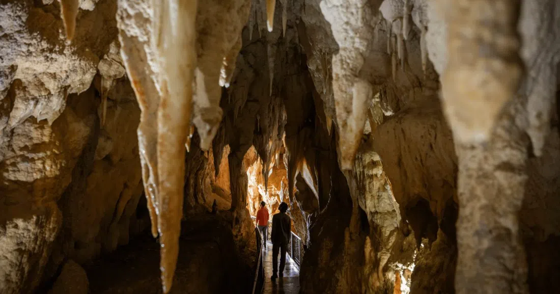 Ruakuri Cave, Auckland