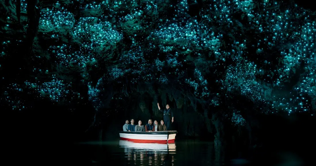 Waitomo Glowworm Caves, Auckland