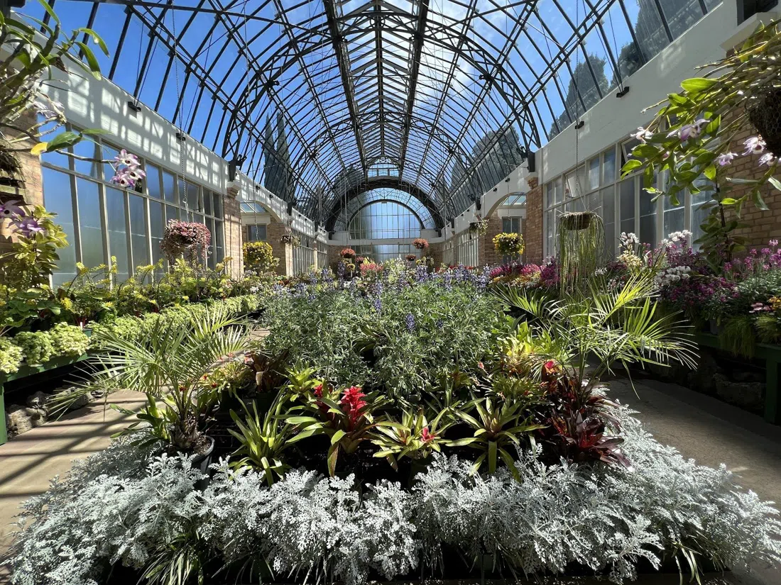 Auckland Domain Wintergardens, Auckland