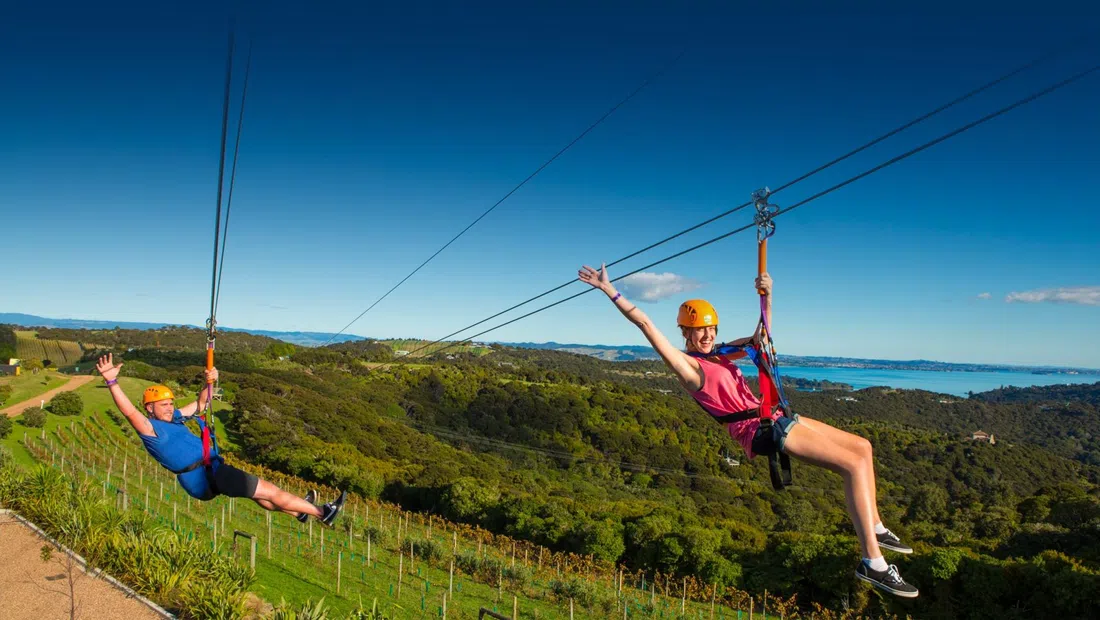 EcoZip Adventures Waiheke, Auckland