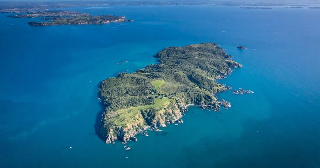 Tiritiri Matangi Island (Explore Group ferry), Auckland
