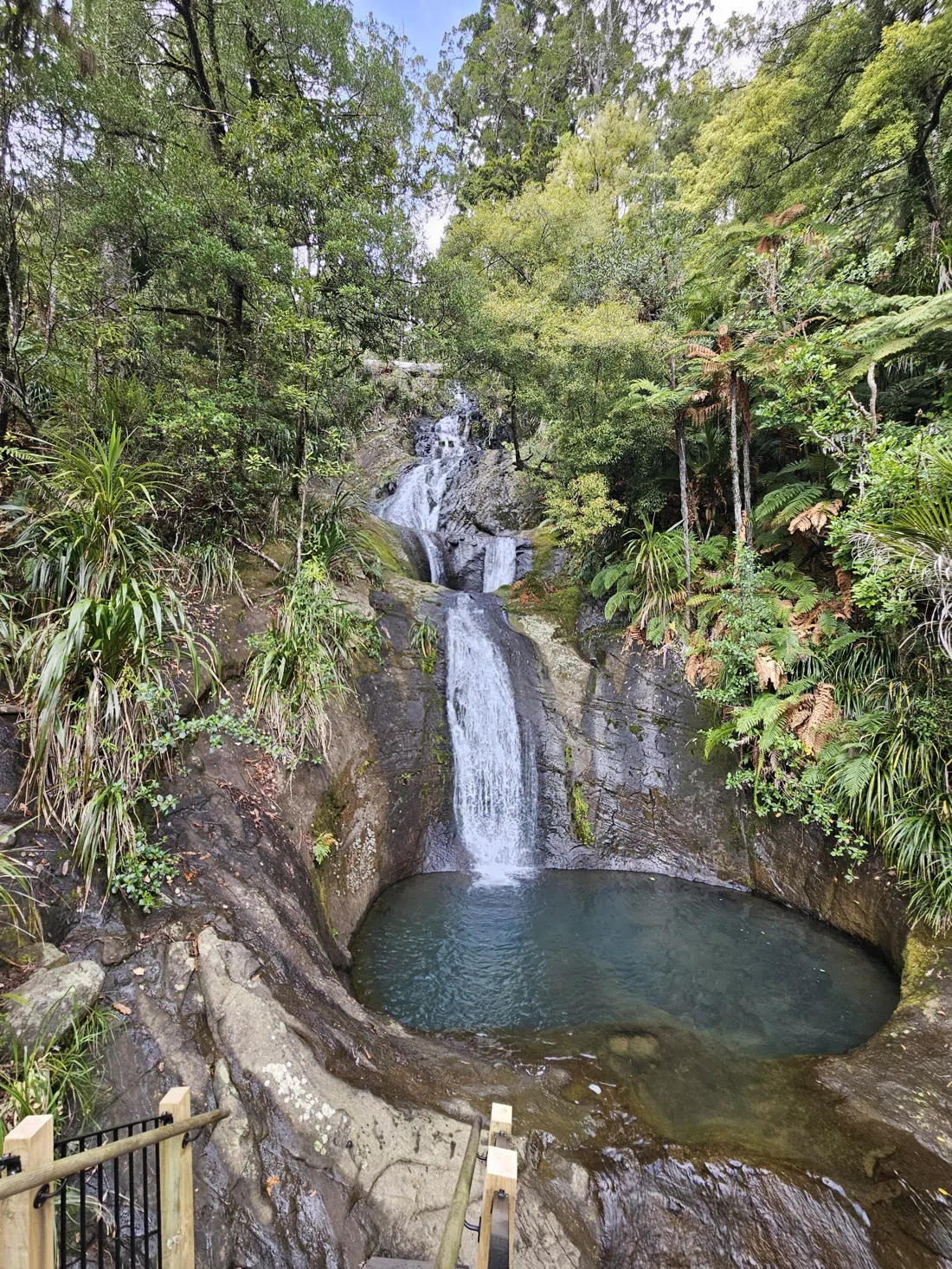 Fairy Falls Track, Auckland