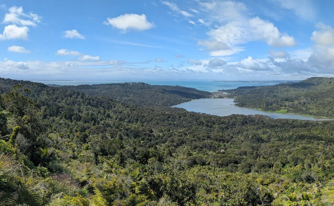The Waitākere Ranges: Auckland's Rainforest Cathedral Twenty Minutes from Queen Street
