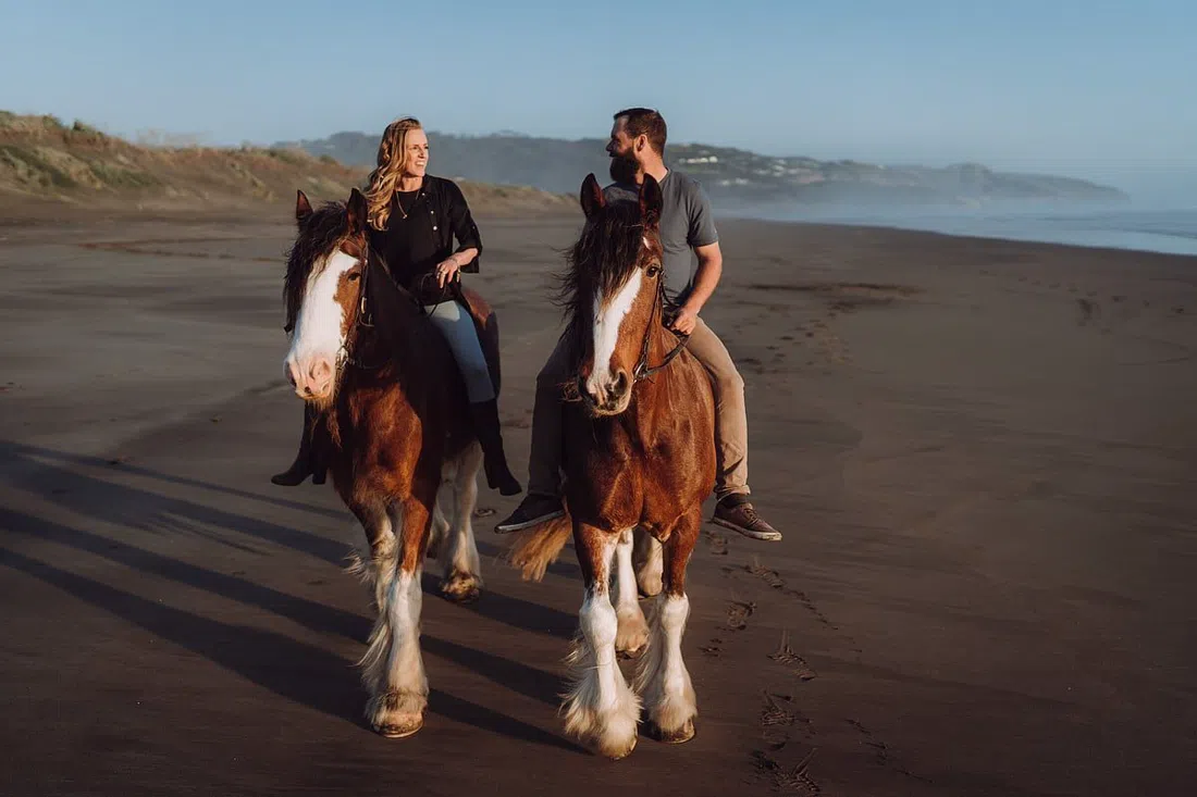 Muriwai Beach Horse Treks, Auckland