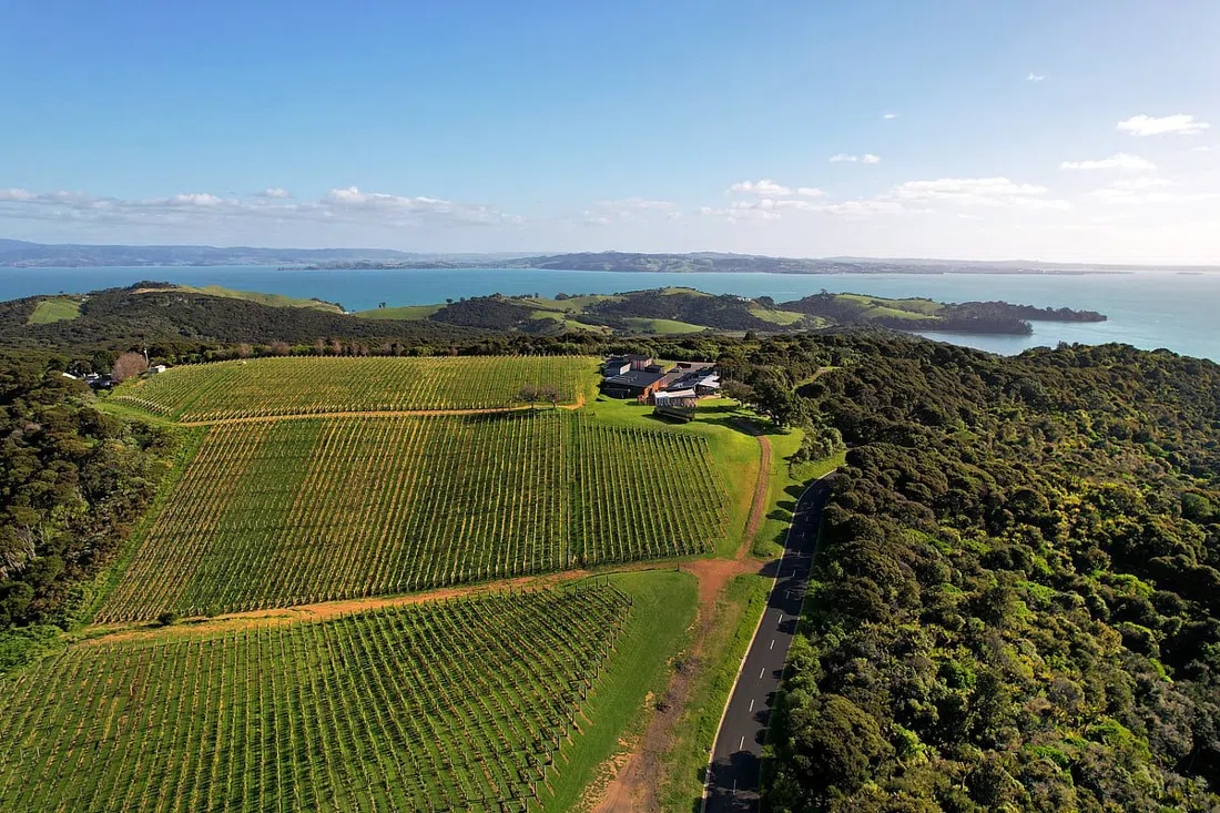 Batch Winery,奥克兰