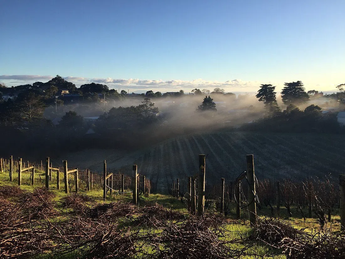 Casita Miro Vineyard,奥克兰
