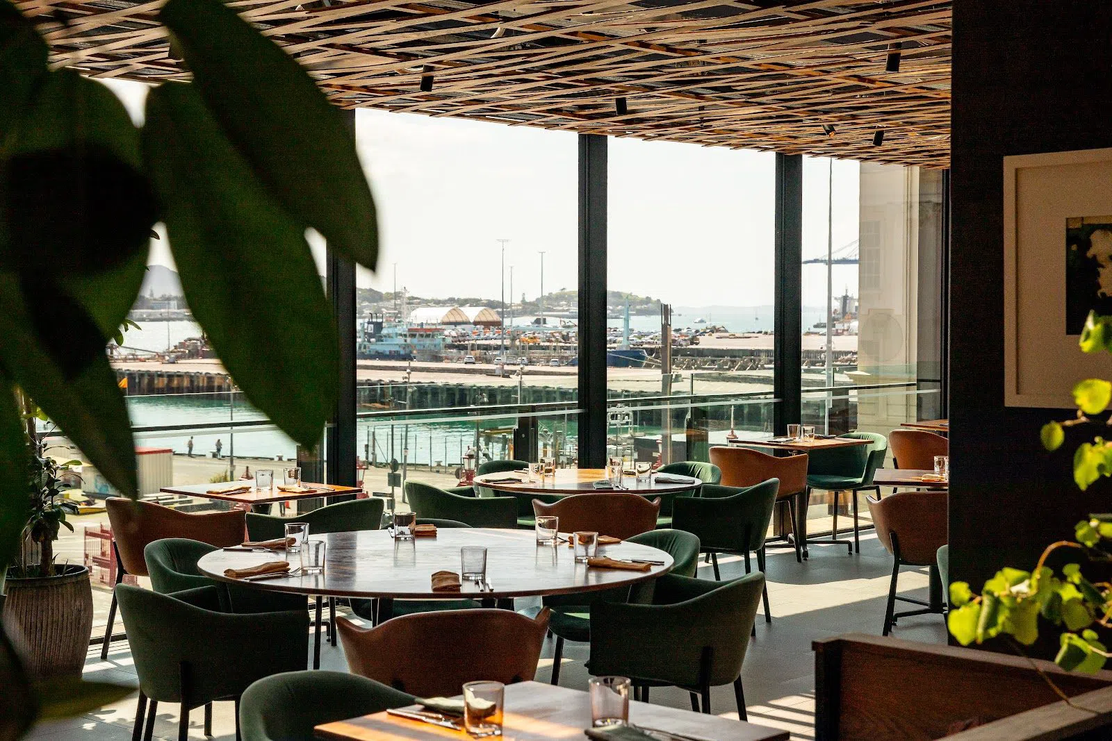 Ahi, Auckland