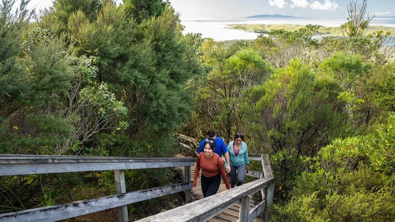 Ilha de Rangitoto, Auckland