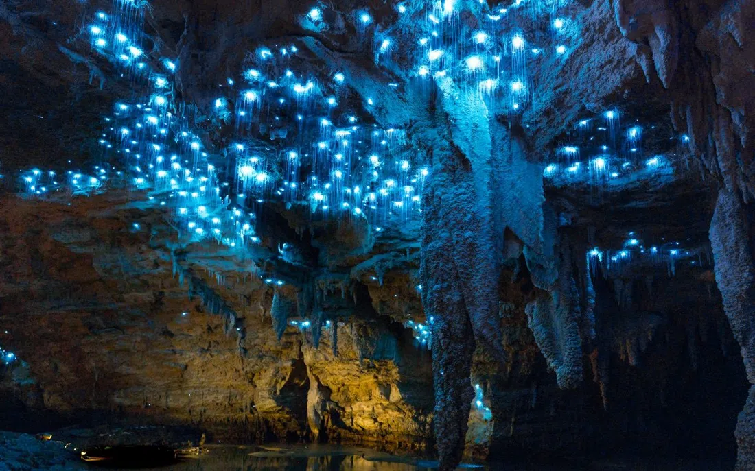 CaveWorld — Footwhistle Glowworm Cave, Auckland
