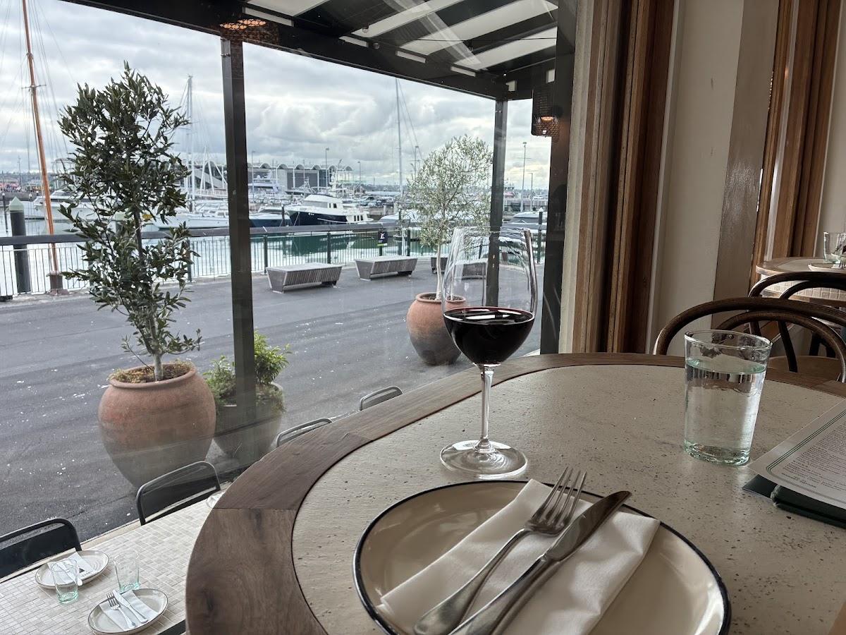 Bivacco, Auckland