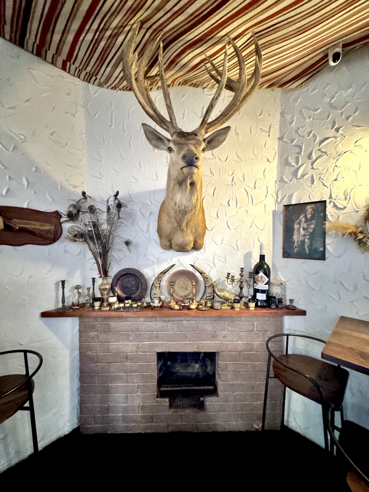 Cazador — photo 4