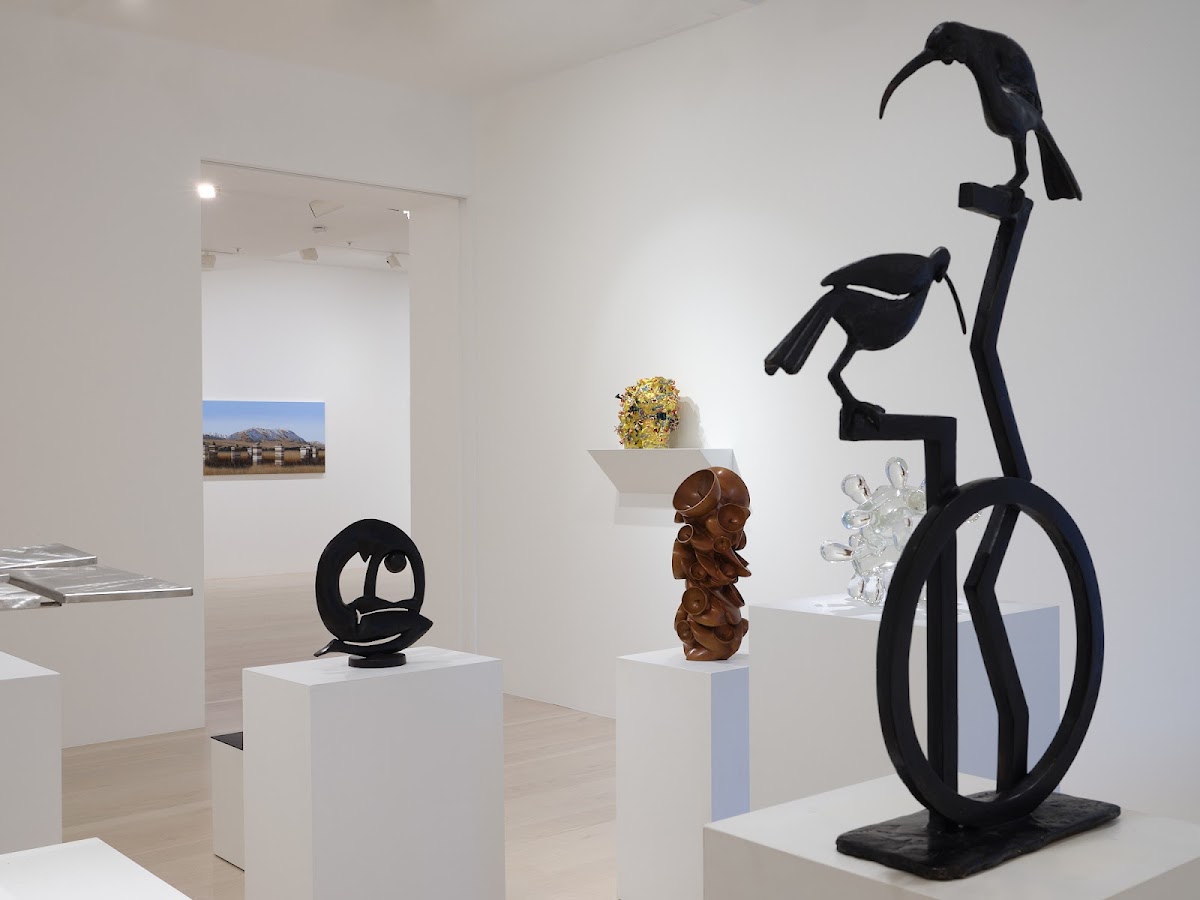 Gow Langsford Gallery — photo 6