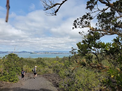 Rangitoto Island Volcanic Hike