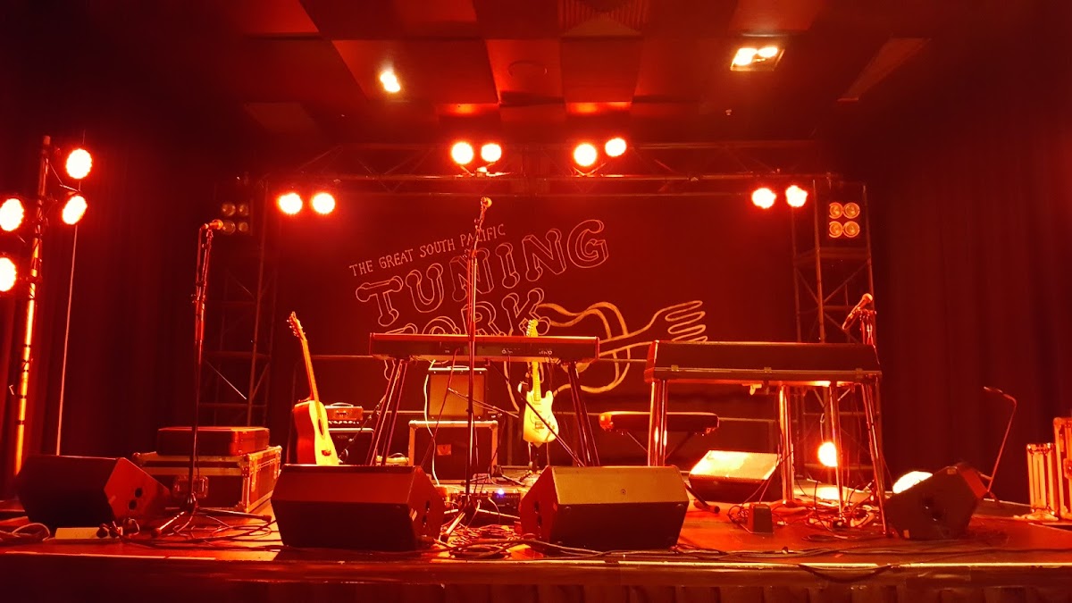 The Tuning Fork — photo 4