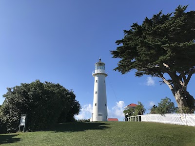 Tiritiri Matangi Island