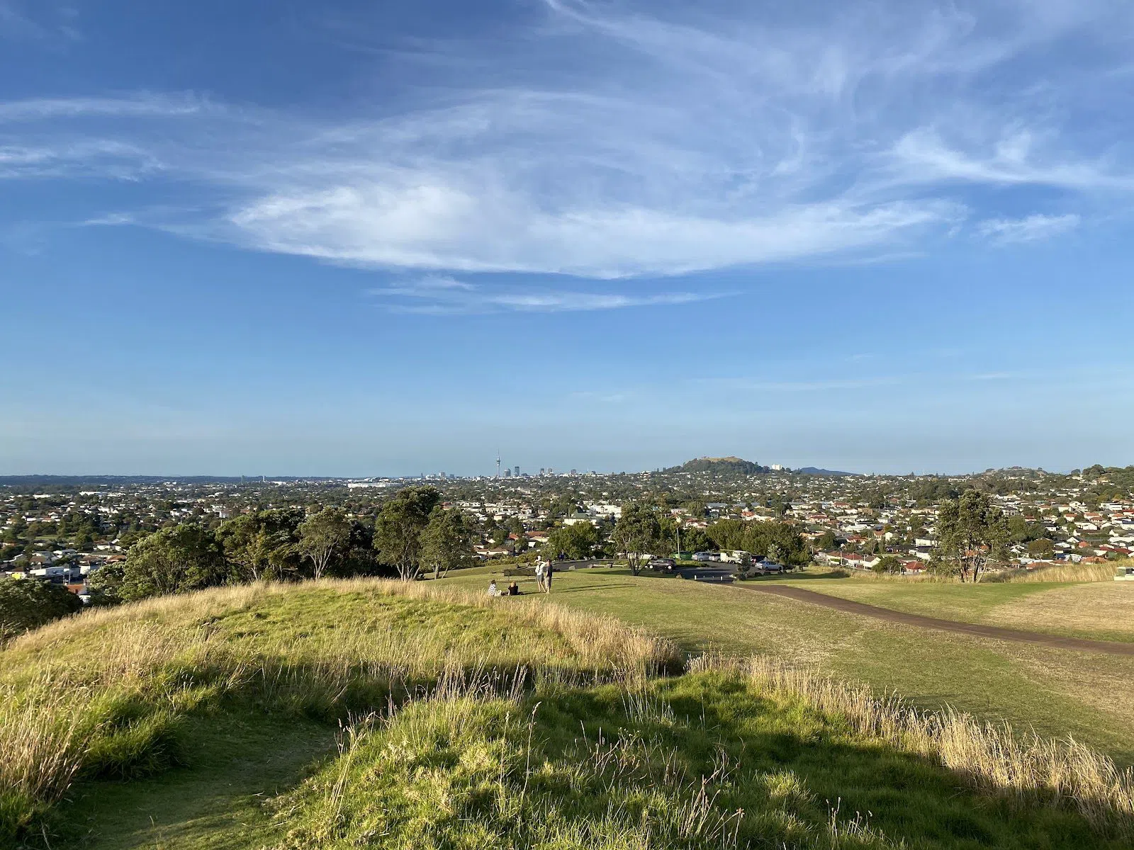 Pukewīwī / Puketāpapa / Mount Roskill, Auckland