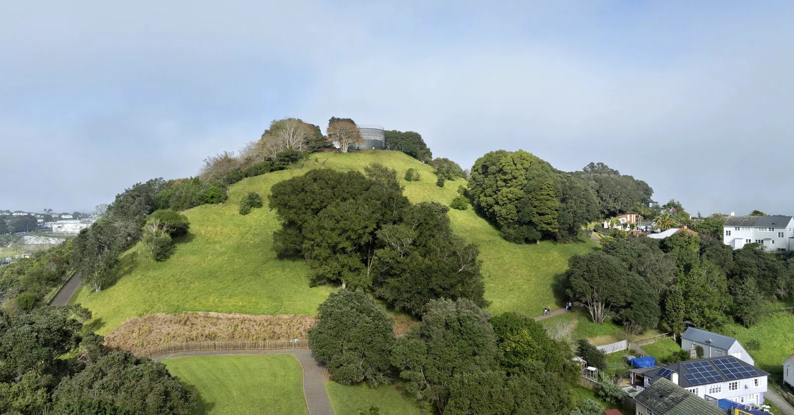 Te Tātua-a-Riukiuta / Big King, Auckland