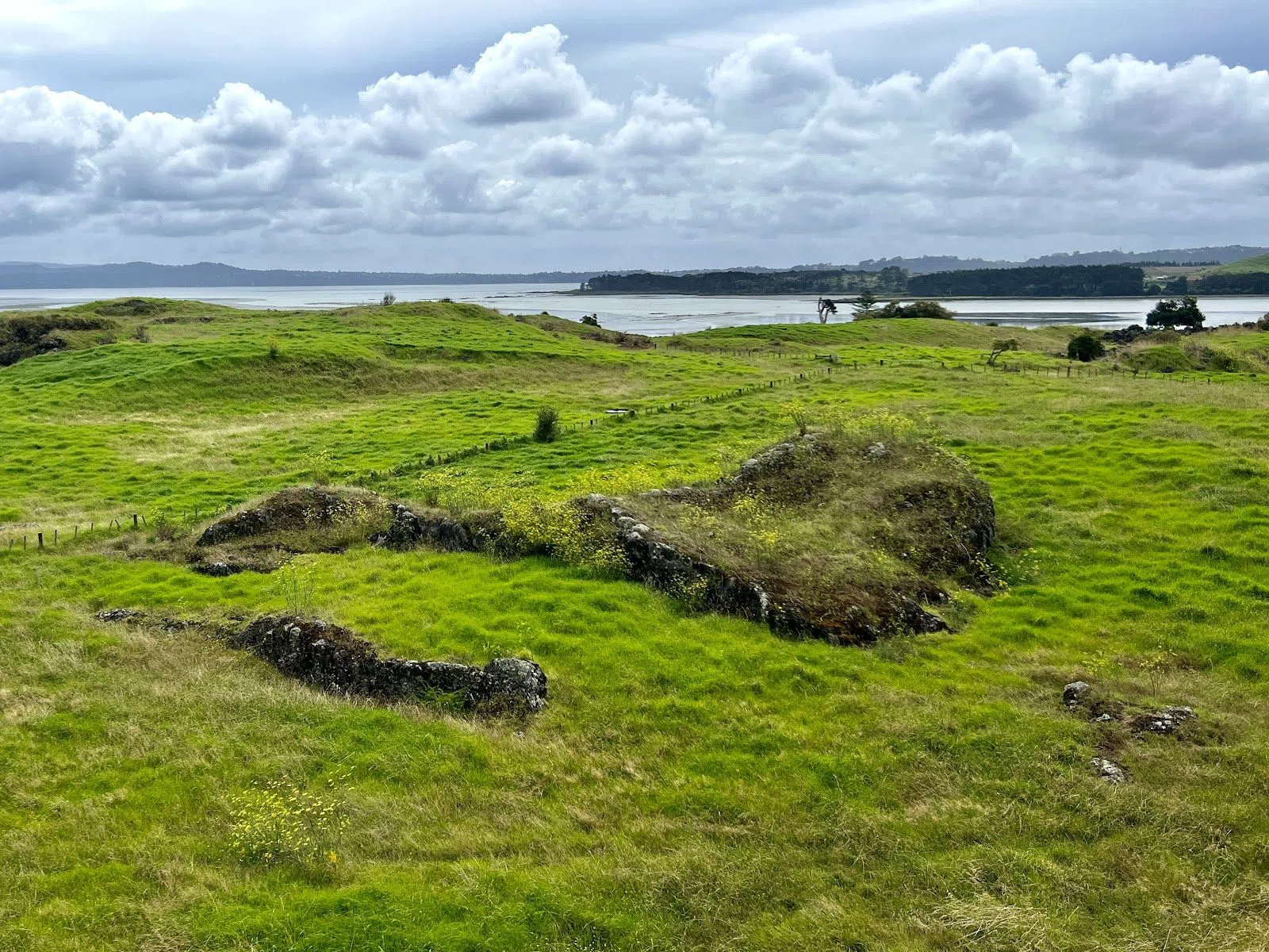 Ōtuataua Stonefields Historic Reserve, Auckland