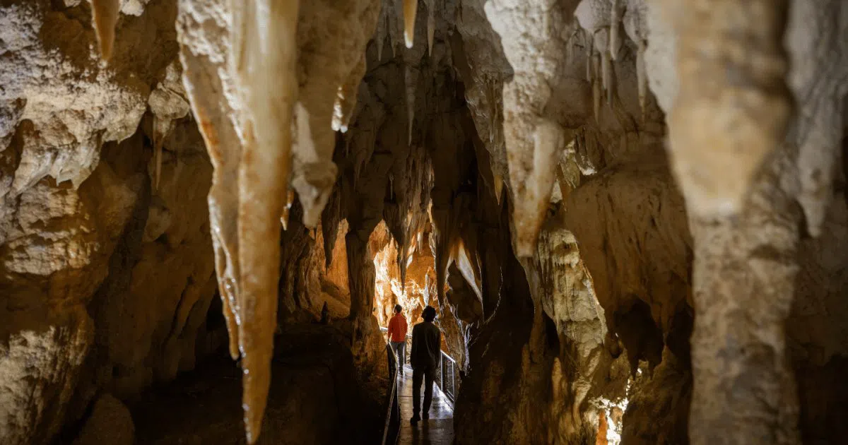 Ruakuri Cave, Auckland