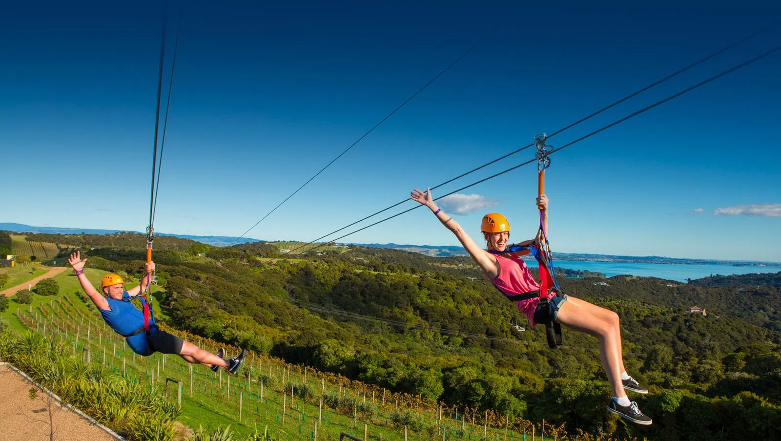 EcoZip Adventures, Auckland